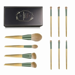 10pcs professional makeup brush set with premium case