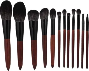 12pcs Makeup Brushes Set Powder Blusher Eyeshadow Eyeliner Lip Brush Beauty Tool for Eyeshadow, Eyebrow, Eyeliner, Blending