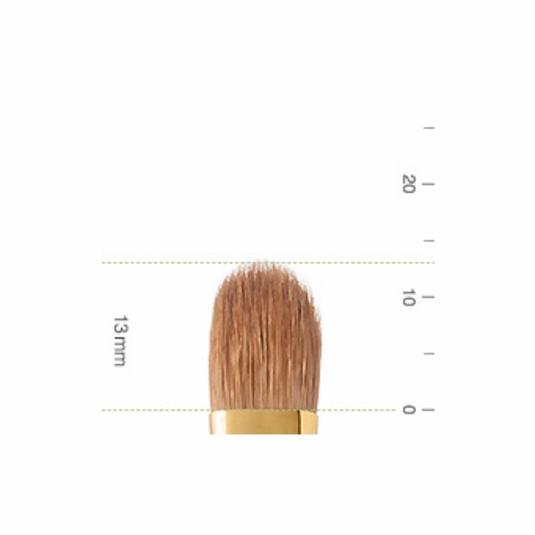 Bisyodo BS-ES-05 Eyeshadow Brush, Short Series