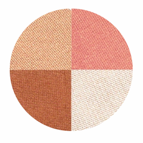 Blush Makeup Cosmetics Quattros