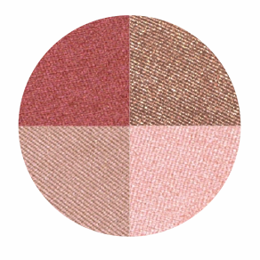 Blush Makeup Cosmetics Quattros