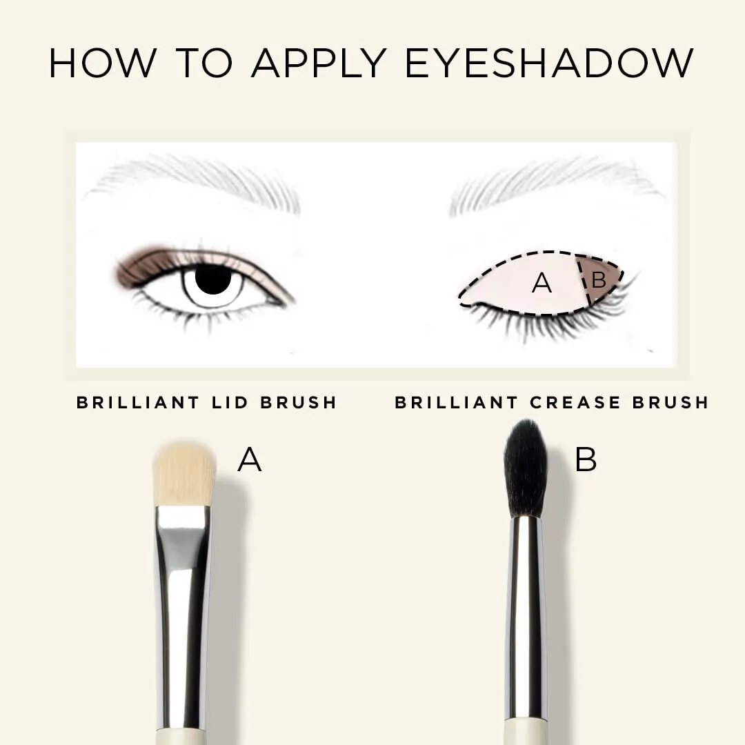 HALEYS Crease Eyeshadow Brush, Medium Fluffy Tapered Brush, Soft, Easy Blending Makeup Tool, Seamless, Multi-tasking Makeup Brush for Cream and Powder, High-end Synthetic Bristles, Vegan   CF