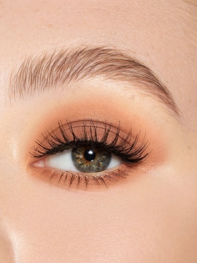 Main Event | Eyeshadow Single
