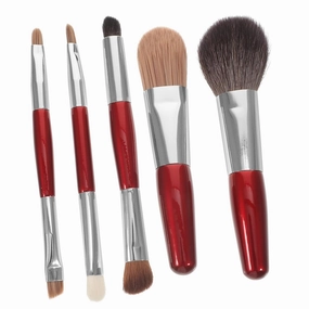 Makeup Powder Brush Set 5-piece Mini Brush Kit Travel Case Women's Makeup Supplies for Blush Eyeshadow