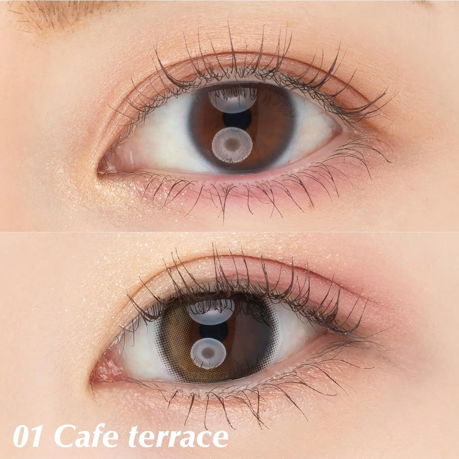 Paul & Joe Eye Color Palette 01 Café Terrace, Four Colors Powder Eye Shadows, Beige, Brown, Purple 0.14 oz