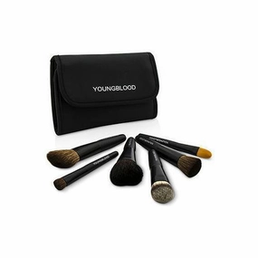 Professional Mini 6pc Brush Set 6pcs